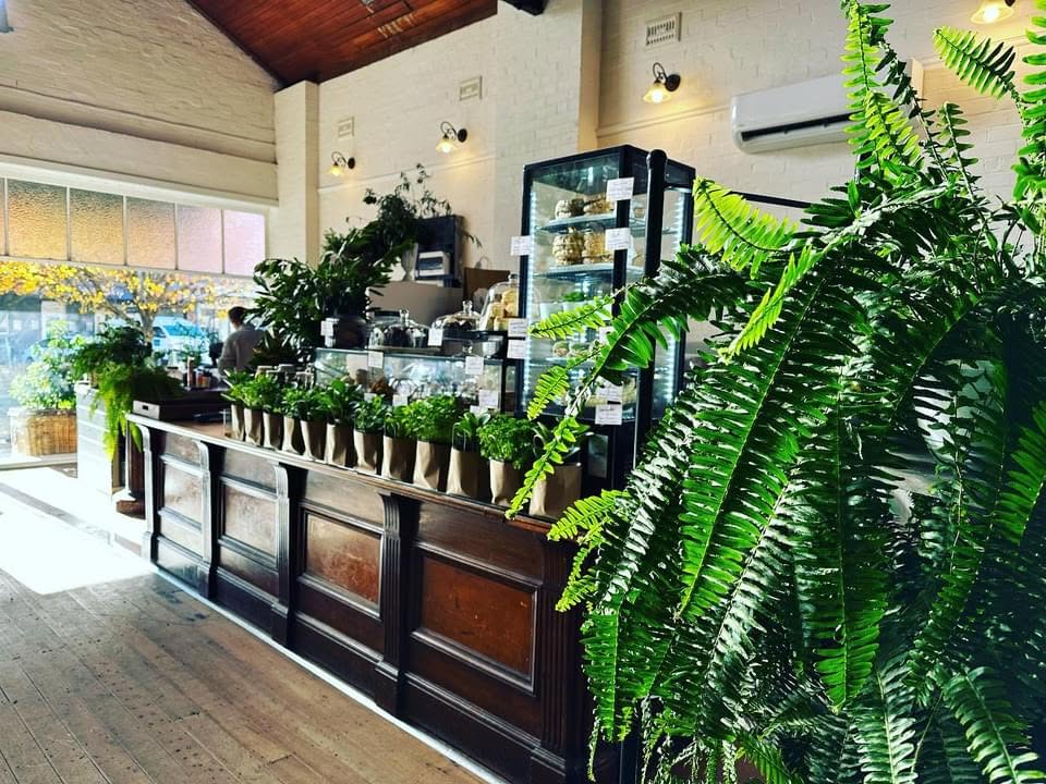 The coffee bar along the original timber counter with potted herbs in a row