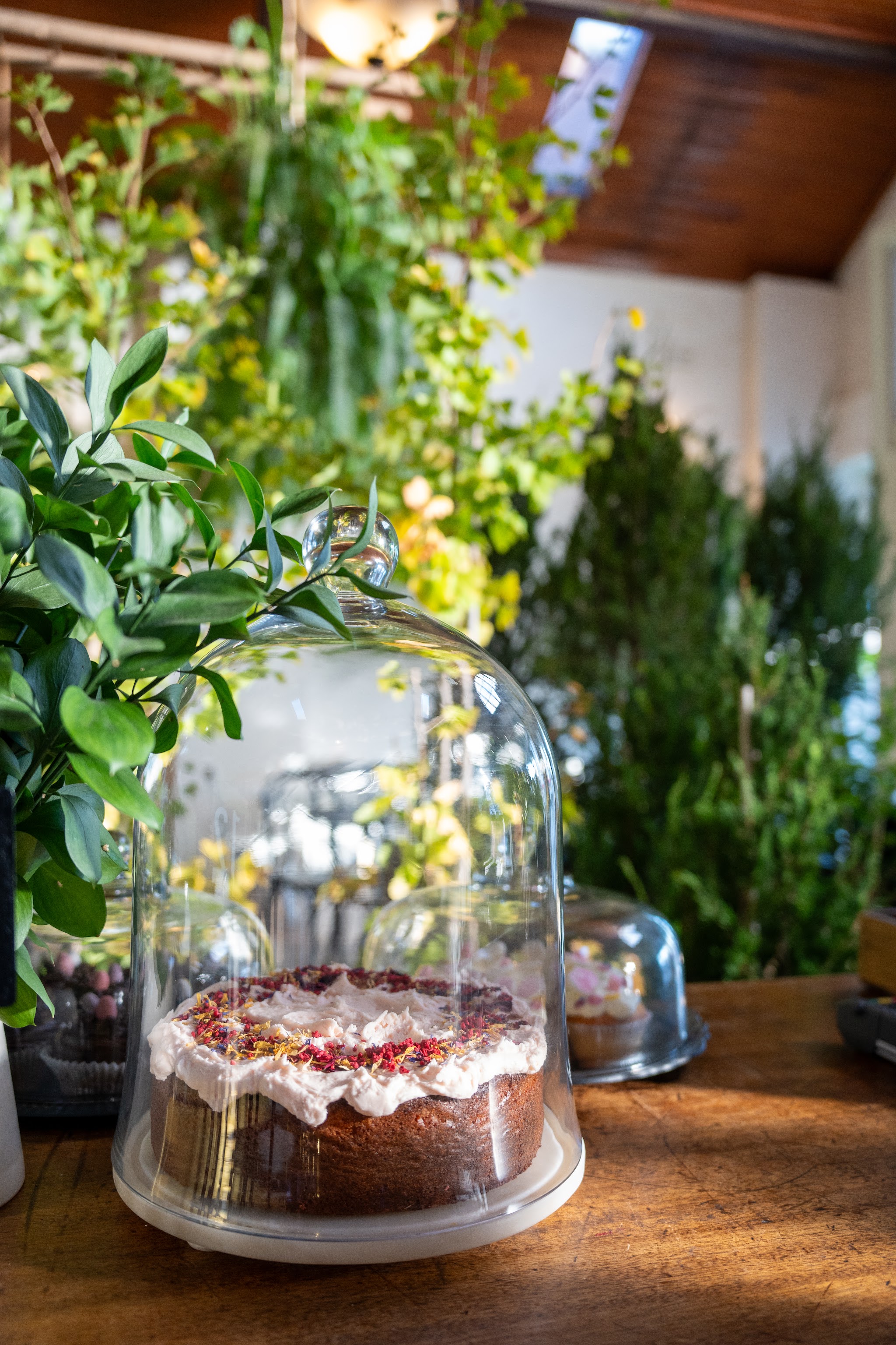 A cake under a glass cloche, topped with cream and dried petals