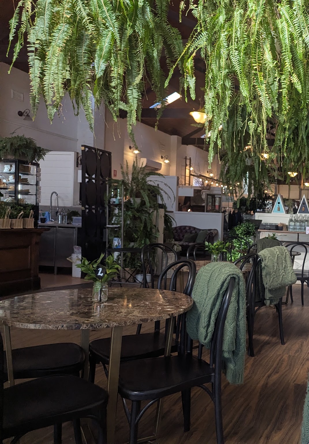 Hanging Boston ferns forming a canopy over bentwood chairs and marble tables